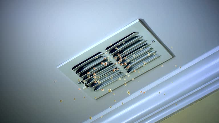 Best Air Duct Cleaning Company Near Me  in Hyrum, UT