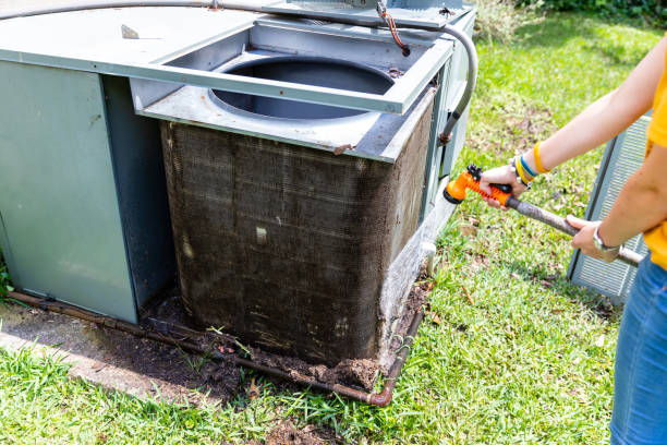 Air Duct Mold Removal in UT